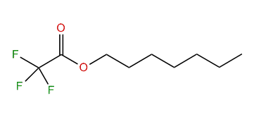 Heptyl 2,2,2-trifluoroacetate